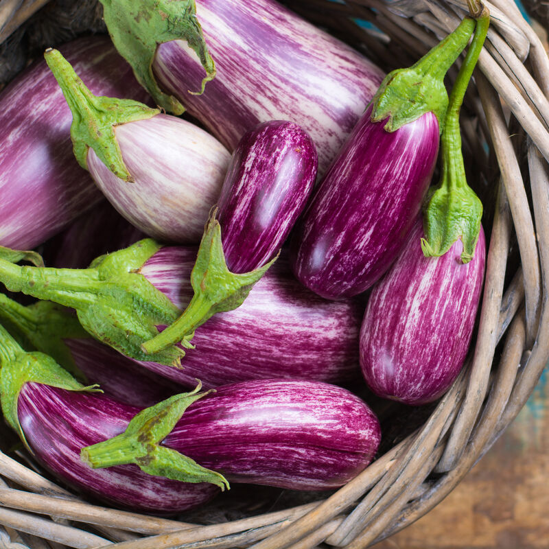 Fairy Tale Eggplant Seed Pod Kit image number null